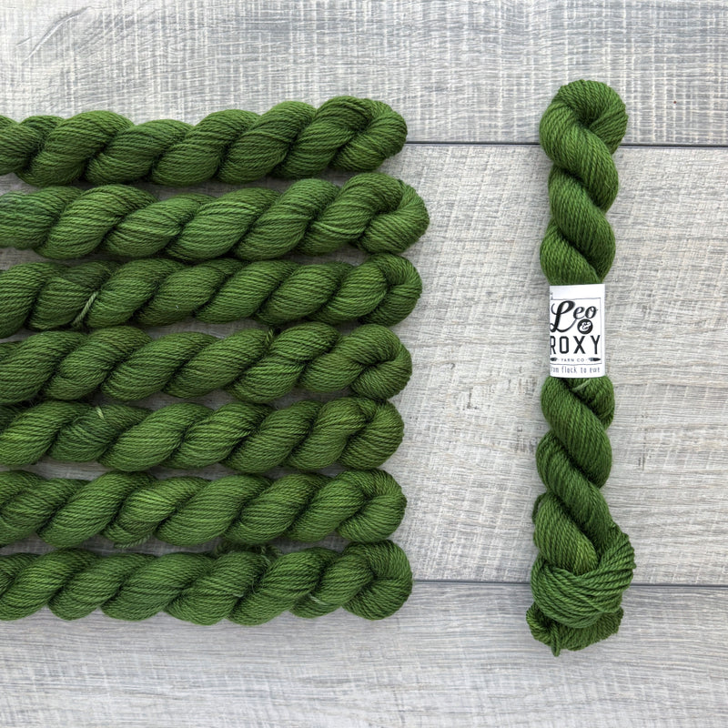 Leo & Roxy Yarn Co.: Sock Minis