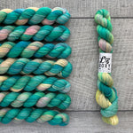 Leo & Roxy Yarn Co.: Sock Minis