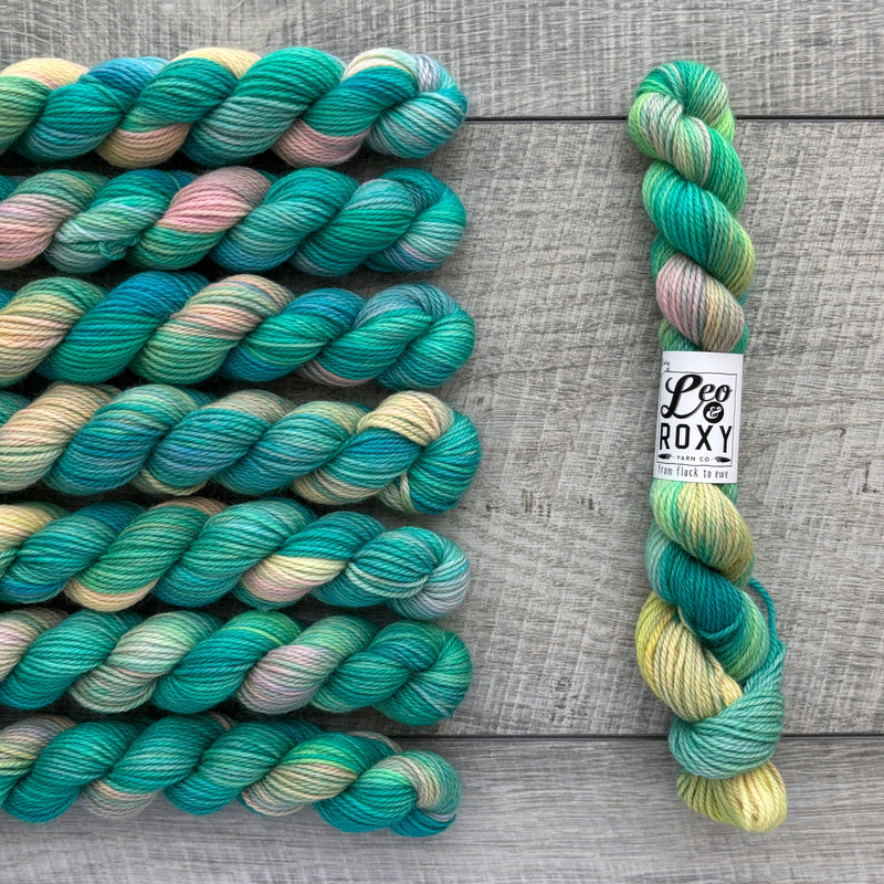 Leo & Roxy Yarn Co.: Sock Minis