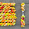 Leo & Roxy Yarn Co.: Sock Minis