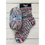 Opal Sock Yarn: XLarge Wilder Winter