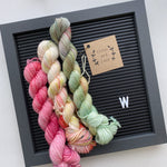 Lichen and Lace 80/20 Sock Mini Sets