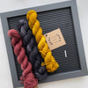 Lichen and Lace 80/20 Sock Mini Sets
