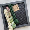 Lichen and Lace 80/20 Sock Mini Sets