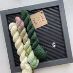 Lichen and Lace 80/20 Sock Mini Sets