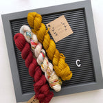 Lichen and Lace 80/20 Sock Mini Sets