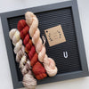 Lichen and Lace 80/20 Sock Mini Sets