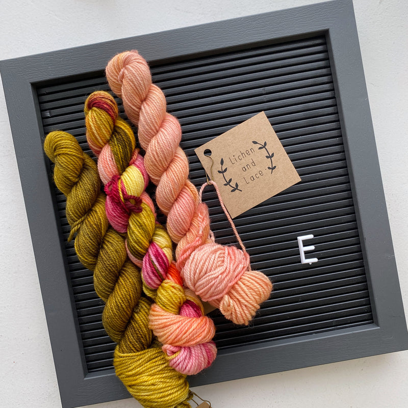 Lichen and Lace 80/20 Sock Mini Sets