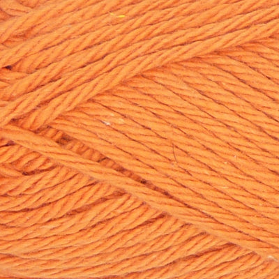 Q53925 Carrot